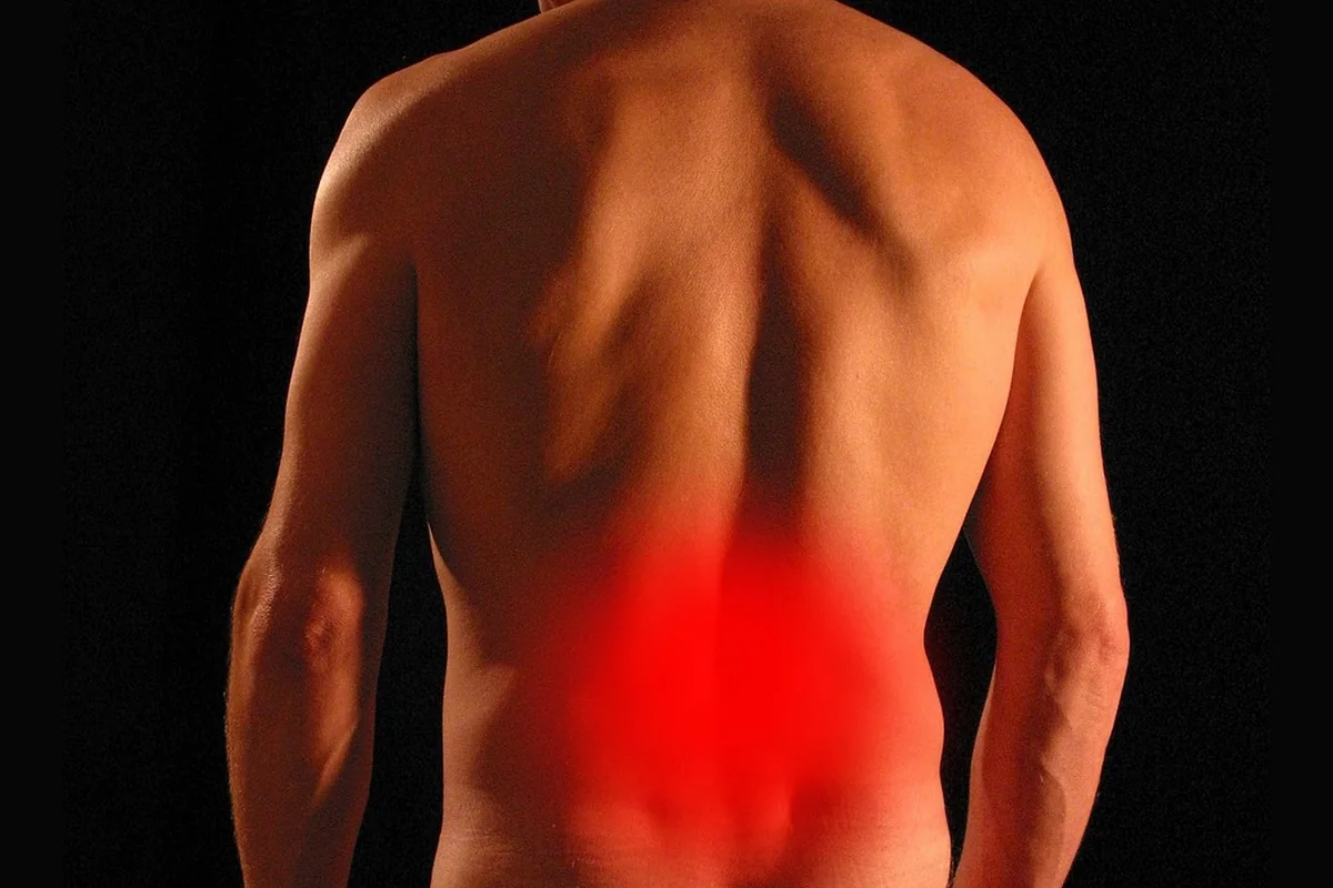 Bel Fıtığı Egzersizleri ve Genel Yaklaşım — pilates bilgilendirme yazısı