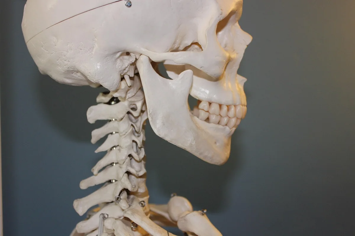 Skolyoz Egzersizleri ve Genel Yaklaşım — pilates bilgilendirme yazısı